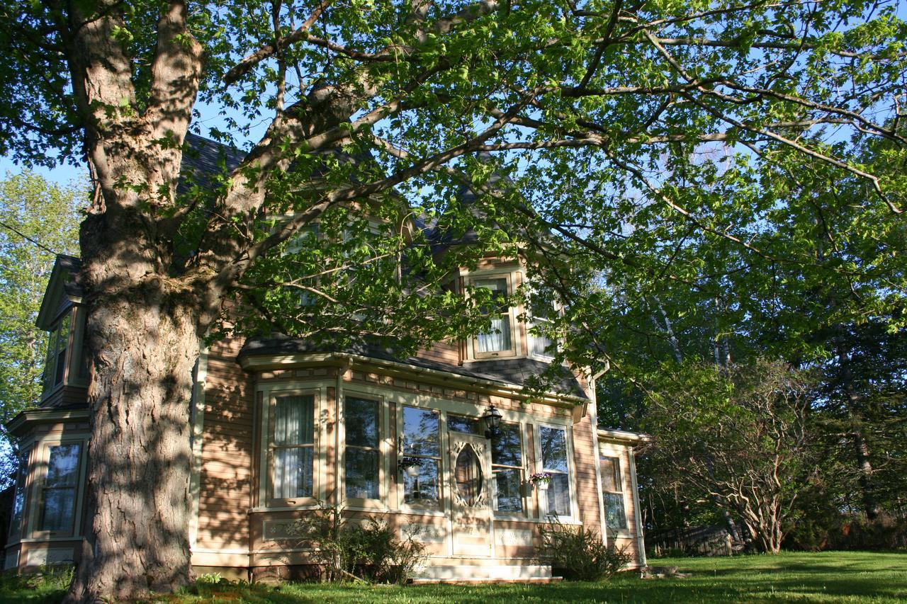 Sackville Bed And Breakfast Екстериор снимка